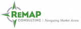 Remap Consulting GmbH Organisation logo